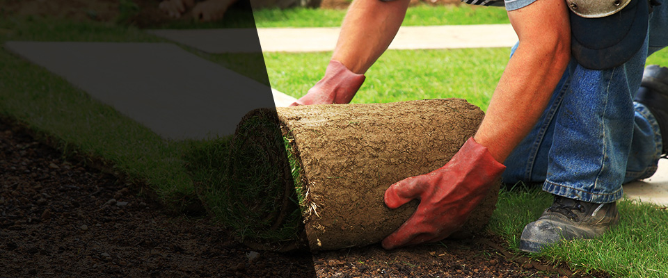 Belden Landscapers